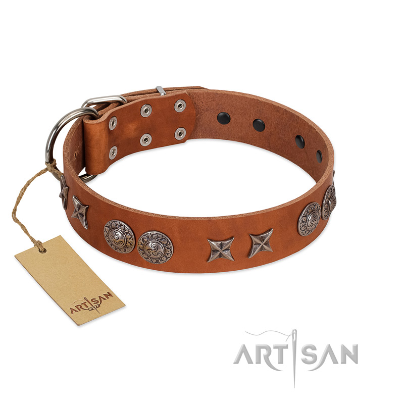 "Splendid Armor" Premium Quality FDT Artisan Tan Designer Bullmastiff Collar with Shields and Stars