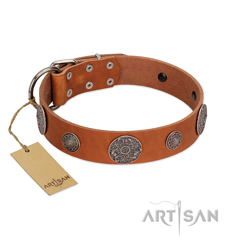 "Foxy Nature" FDT Artisan Tan Leather Bullmastiff Collar with Chrome Plated Brooches