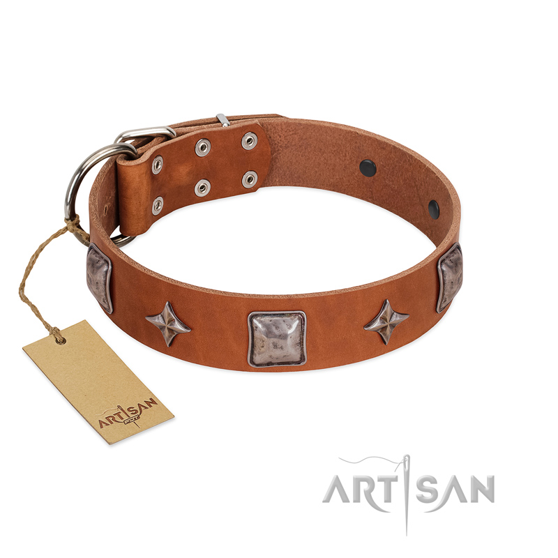 "Lucky Star" FDT Artisan Tan Leather Bullmastiff Collar with Silver-Like Embellishments