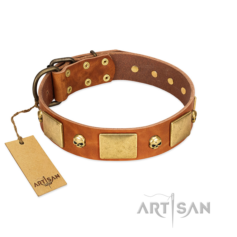 "Mutt The Daredevil" FDT Artisan Tan Leather Bullmastiff Collar with Old Bronze-like Skulls and Plates