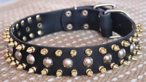 Three Rows brass Leather Spiked & Studs perfect Dog Collar