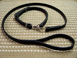 Police / hunting" dog leash and collar (combo) for bullmastiff dog