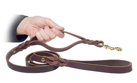 Fashion dog training lead 5 FT for Bullmastiff training