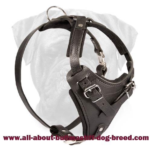 Customize Leather Agitation Harness for Bullmastiff