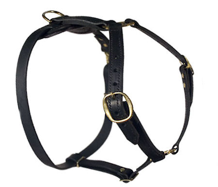 SENSATION Dog Harness for BullMastiff walking