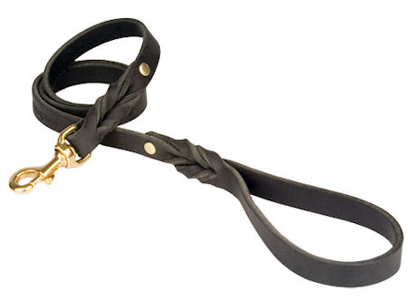 Looking for PETCO Twisted Leather Lead for Bullmastiff?