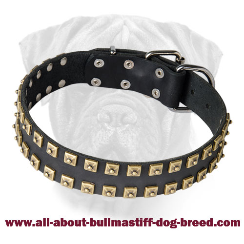 Bullmastiff Leather Collar Studded - Classy Exclusive Design