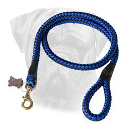 Bullmastiff Nylon Blue Leash Cord for Walking