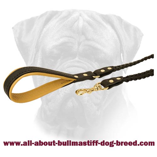 Fashionable Bullmastiff Leash