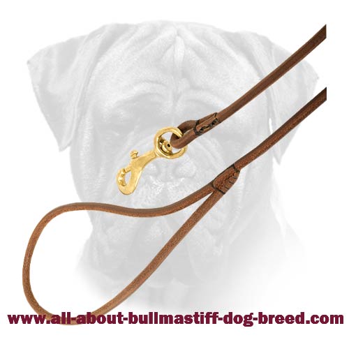 Leather Leash for Active Bullmastiffs