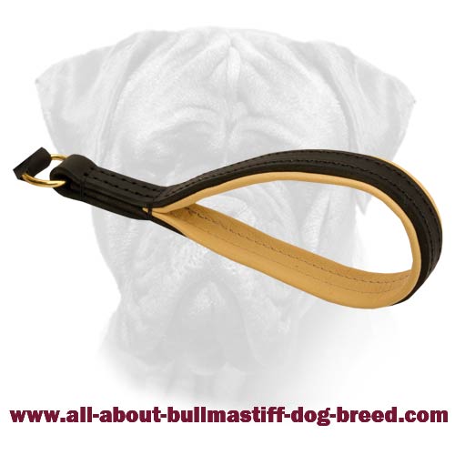 Leather Bullmastiff Leash of High Quality