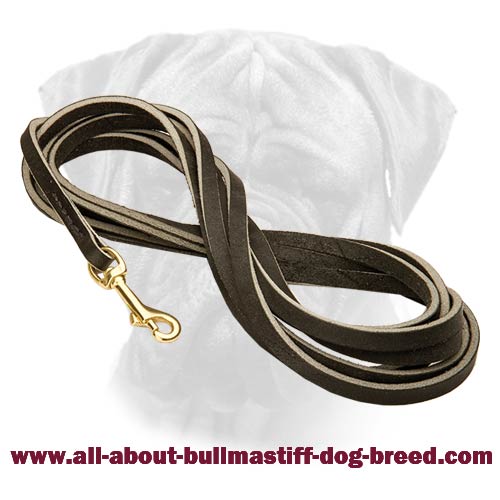 Excellent Bullmastiff Leather Leash