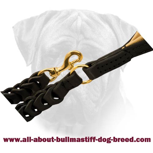 Leather Bullmastiff Leash with Rust-Resistant Hardware