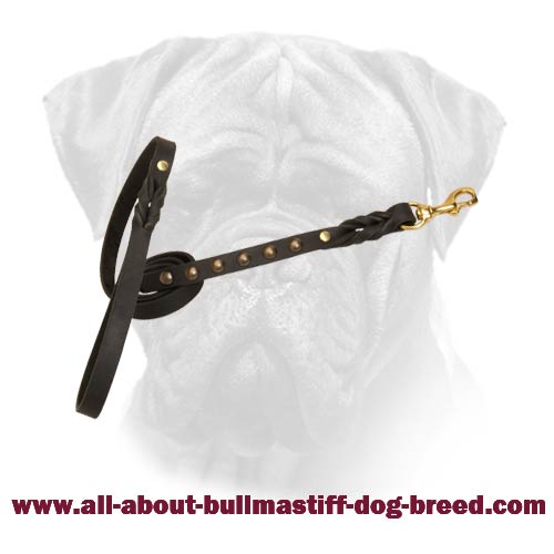 Wide Leather Leash with a Soft Handle