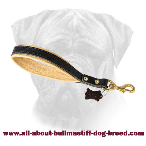 Stitched Bullmastiff Leather Leash