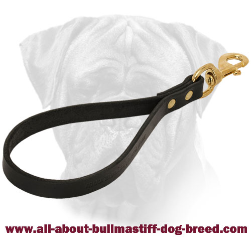 Short Dog Leash Black for Bullmastiff