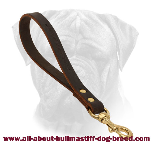 Leather Short Leash Brown for Bullmastiff