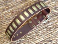 Gorgeous Wide Leather Dog Collar With Plates  Gorgeous Wide Leather Dog Collar With Plates