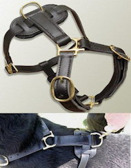Have Leather tracking harnesses for Bullmastiff