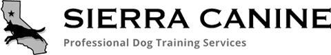 Sierra
Canine dog training