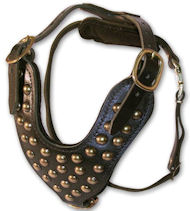 Stud Dog Harness for Bullmastiff -2 ply leather HARNESS