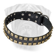 Bullmastiff Leather Collar Studded - Classy Exclusive Design Bullmastiff Leather Collar Studded - Classy Exclusive Design